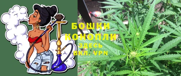 spice Верея