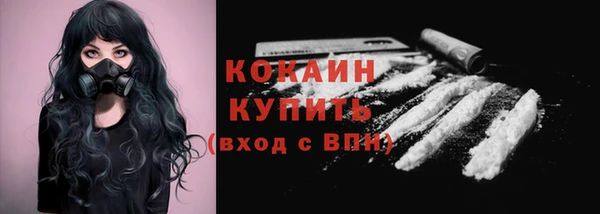 сатива Волоколамск