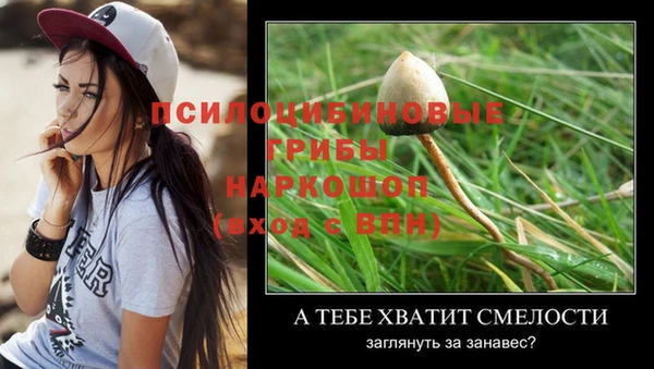 spice Верея