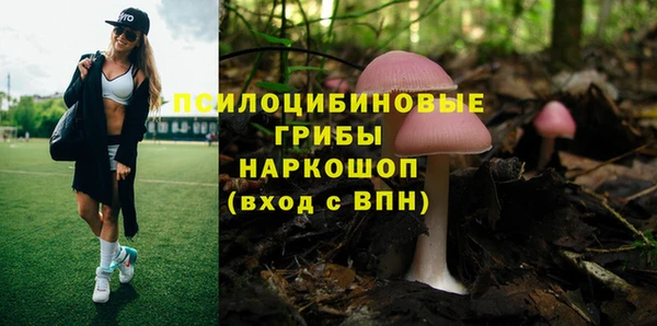 МДПВ Волосово